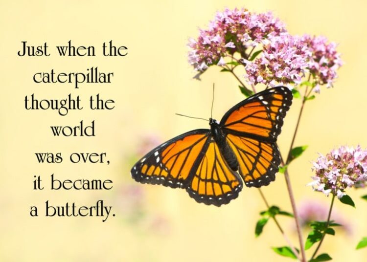 inspirational quotes that define modern lifestyle